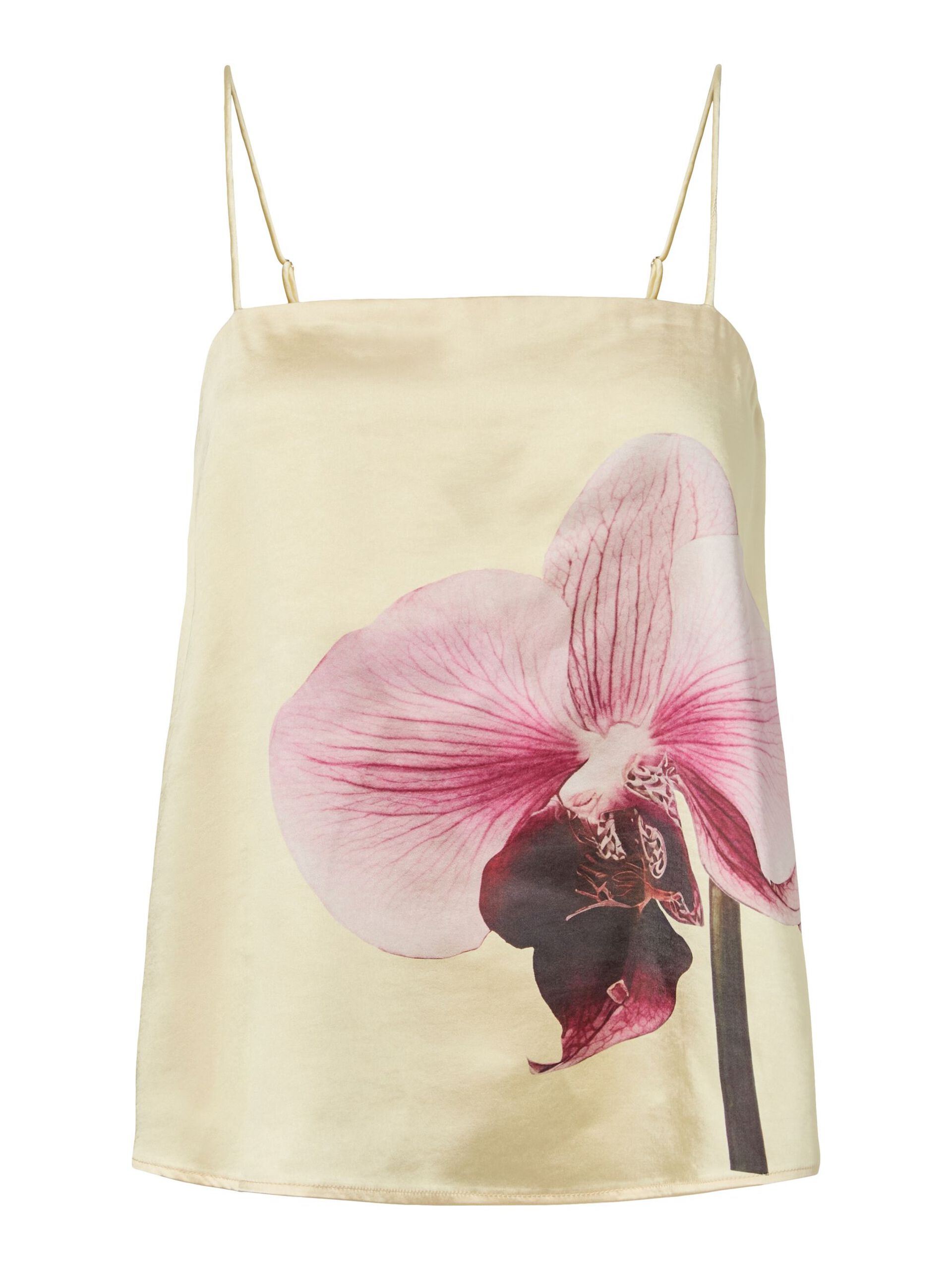 Yasorchida top - YAS