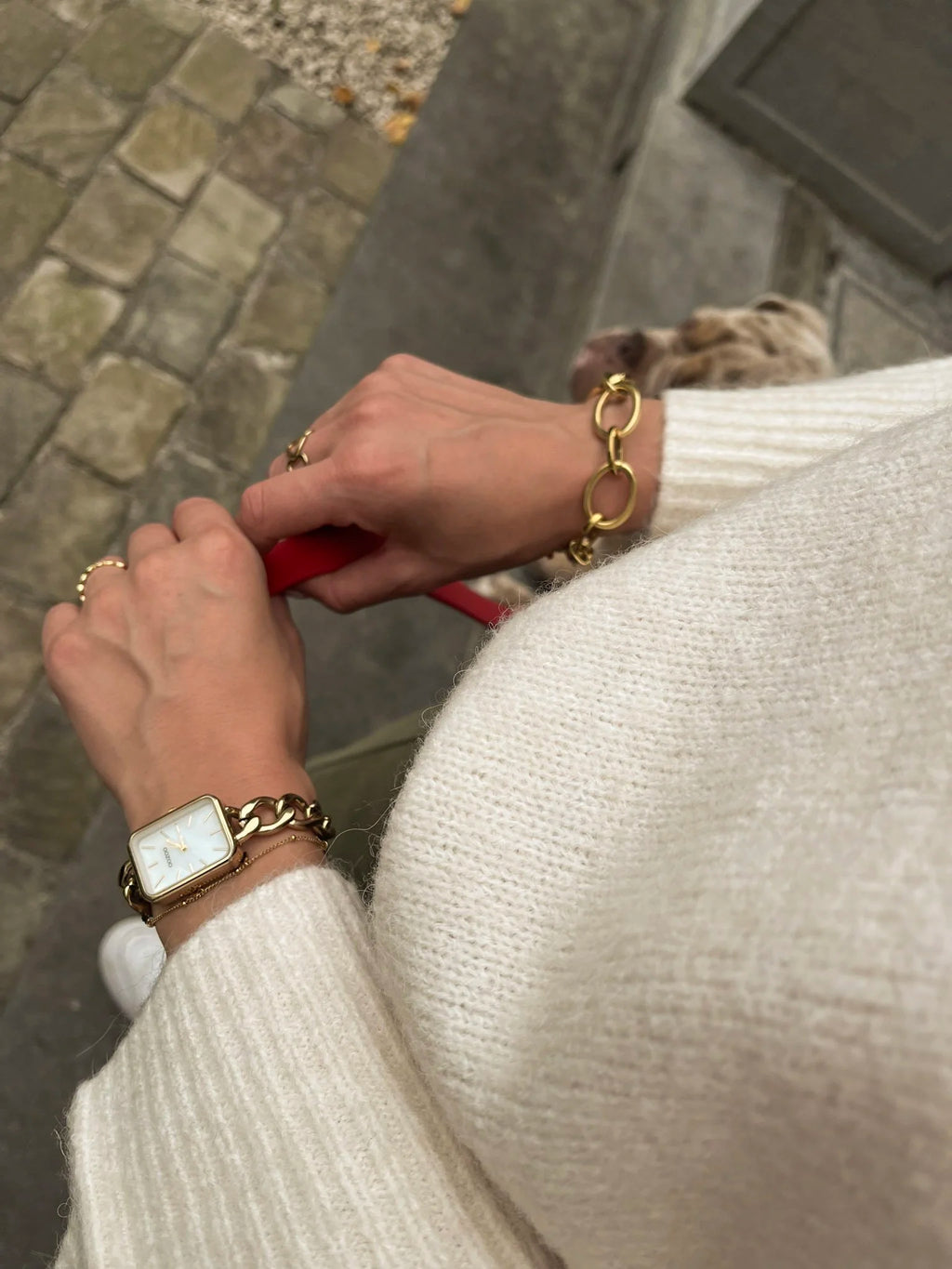 Yasalmalla trui - YAS