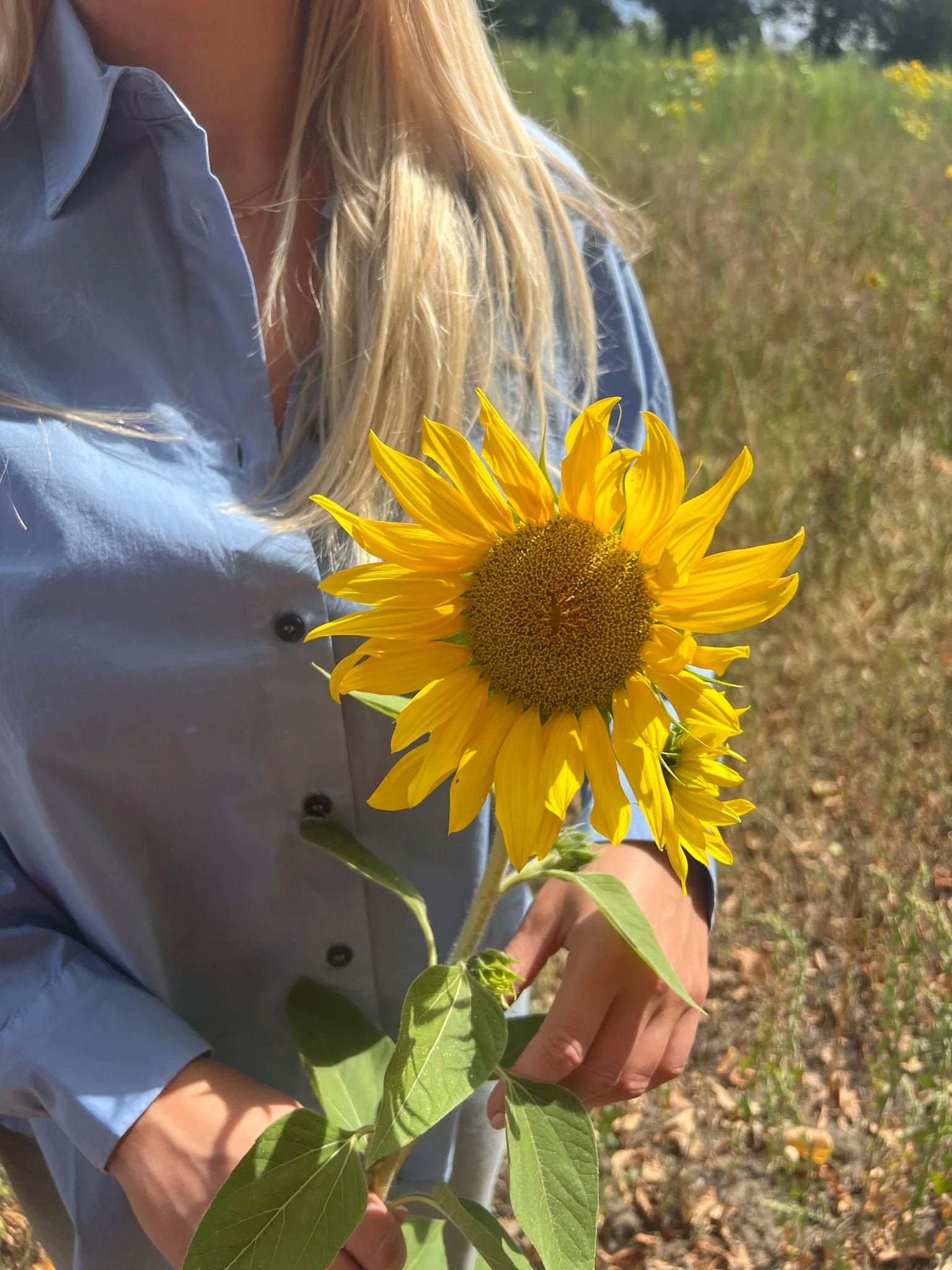 Gabri Dream blouse - Nathalie Vleeschouwer