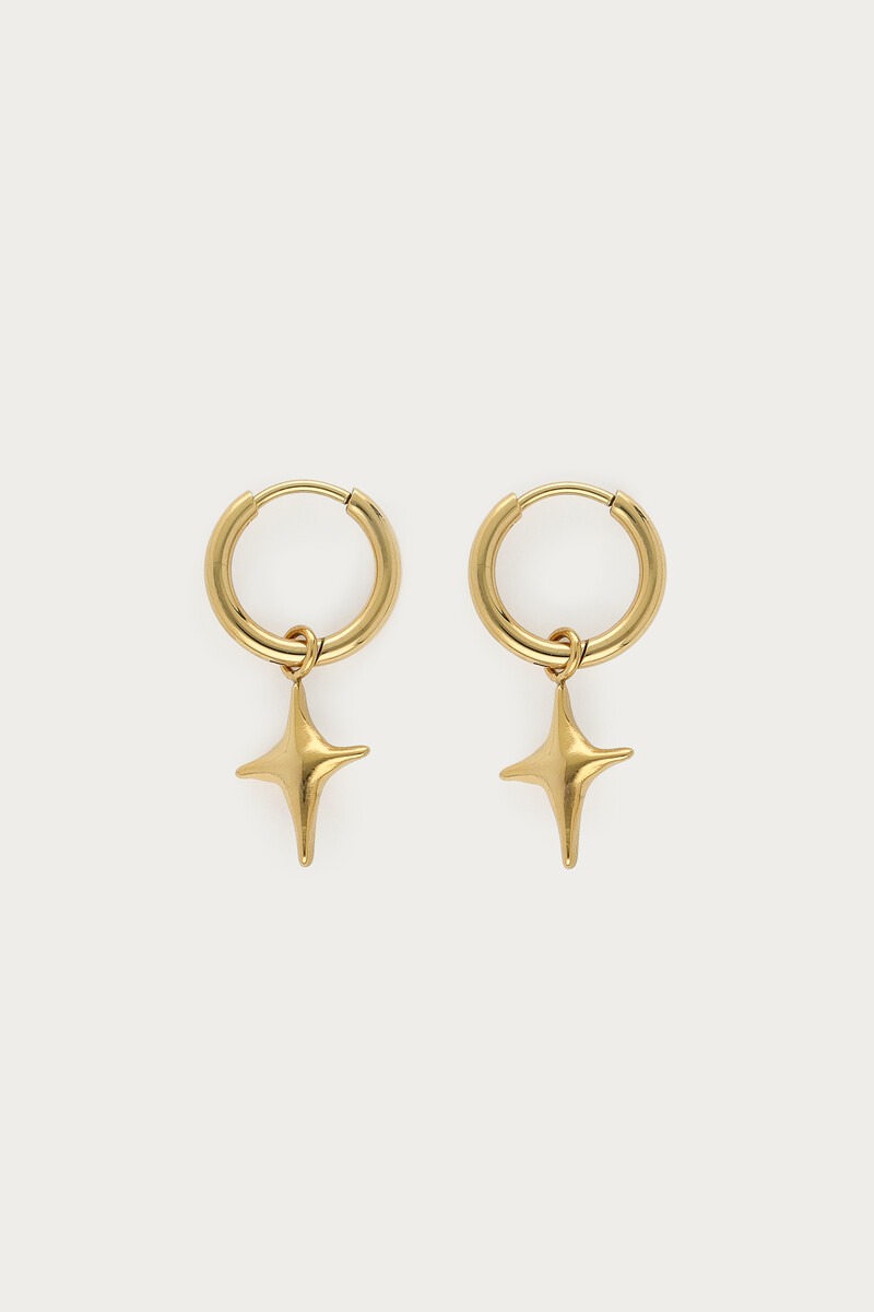 Fortune oorringen met Poolster - My Jewellery