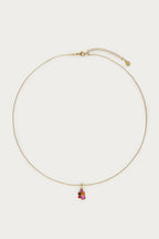 Fortune ketting met vijf multikleur strass stenen - My Jewellery