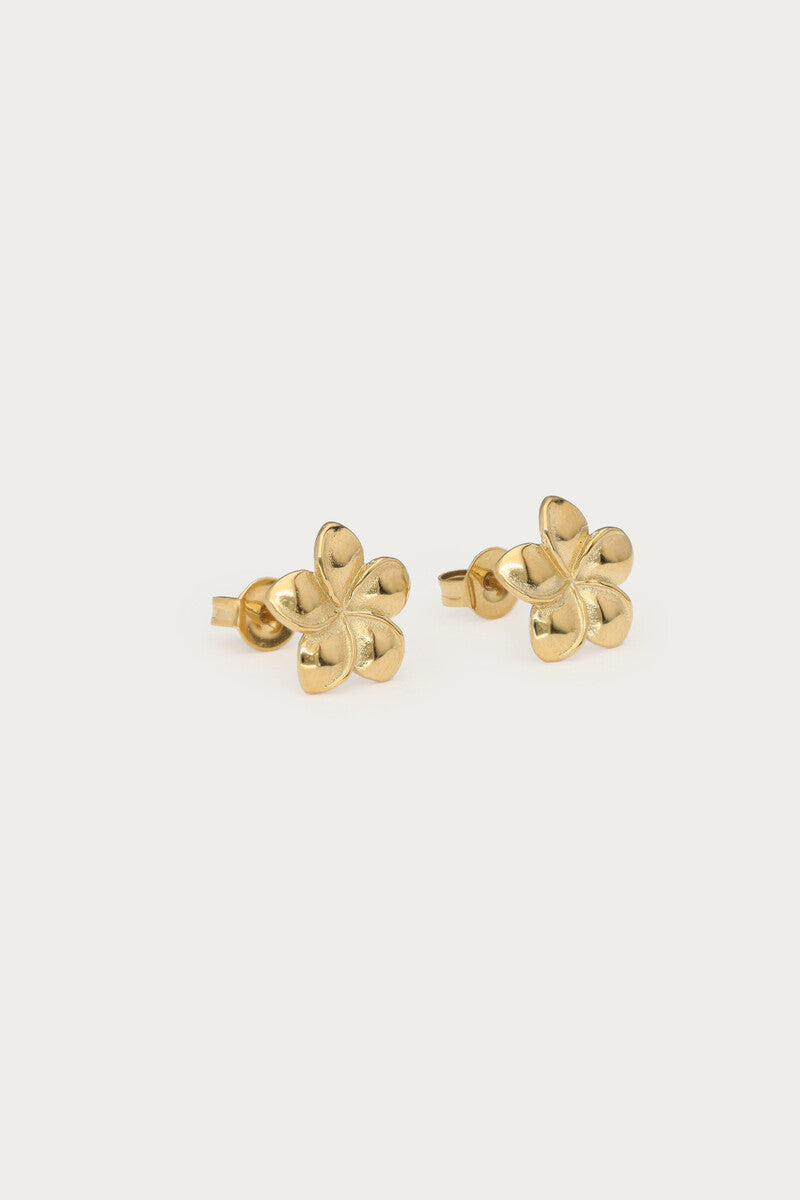 Tropical stud met minimalistische bloem - My Jewellery