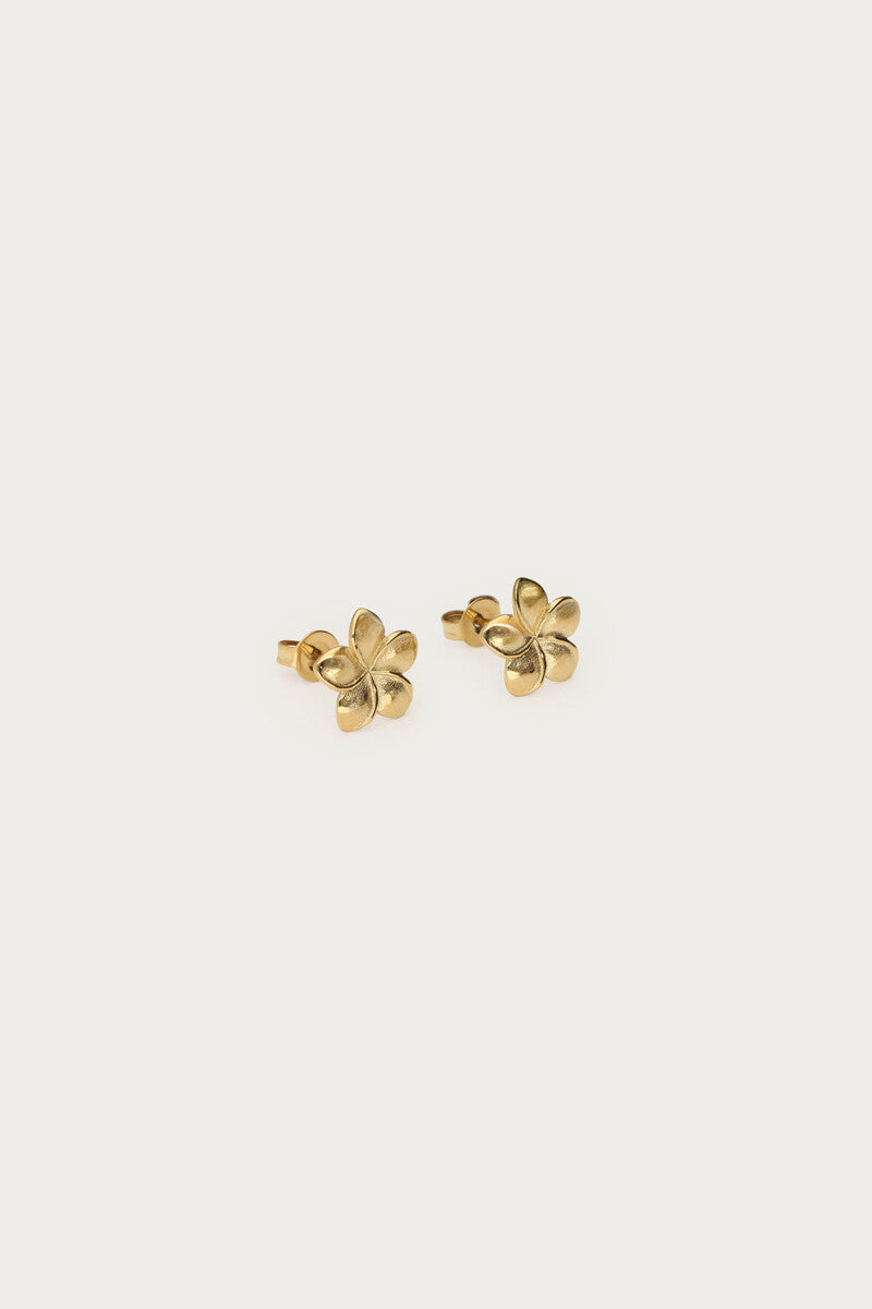 Tropical stud met minimalistische bloem - My Jewellery