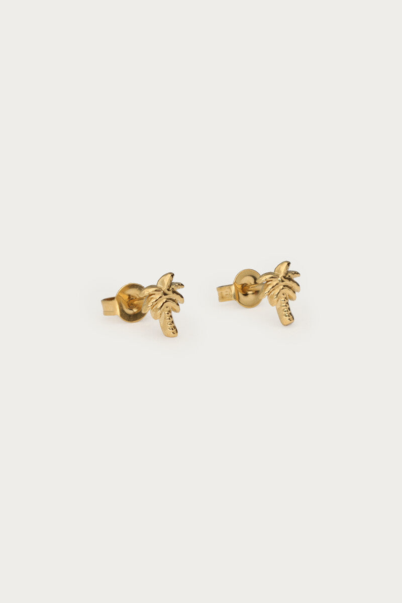 Tropical studs met palmboom - My Jewellery