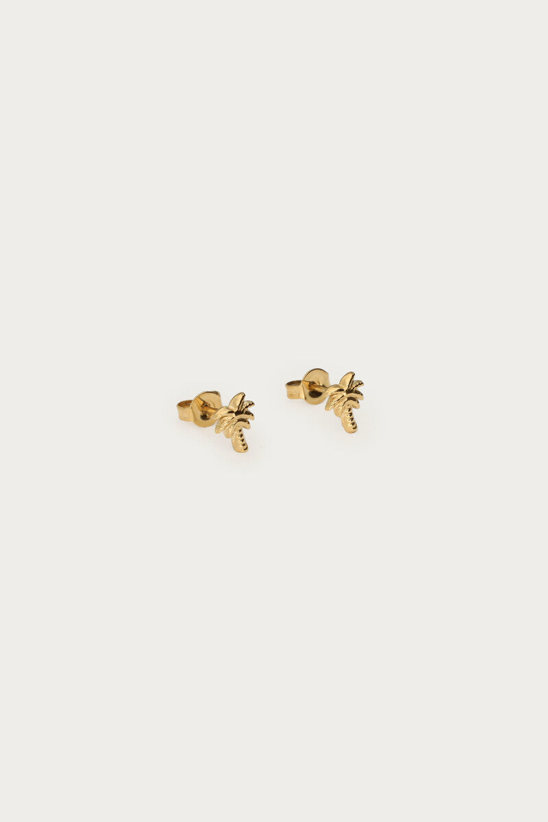 Tropical studs met palmboom - My Jewellery